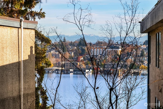 view of water feature featuring a mountain view