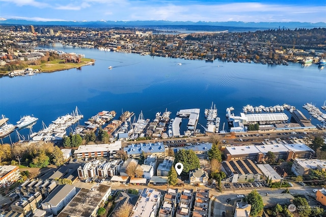 bird's eye view with a water view