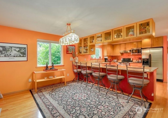 kitchen with appliances with stainless steel finishes, pendant lighting, a wealth of natural light, and kitchen peninsula