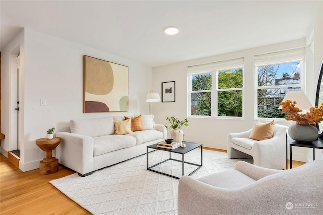 living room featuring hardwood / wood-style flooring