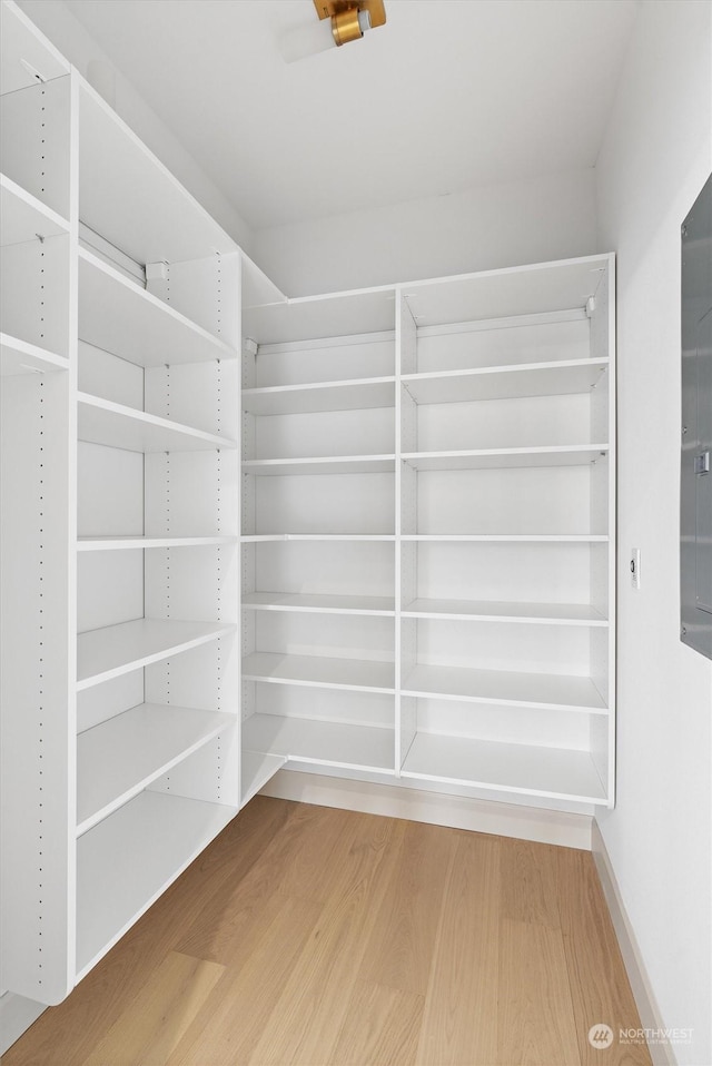 walk in closet with hardwood / wood-style flooring