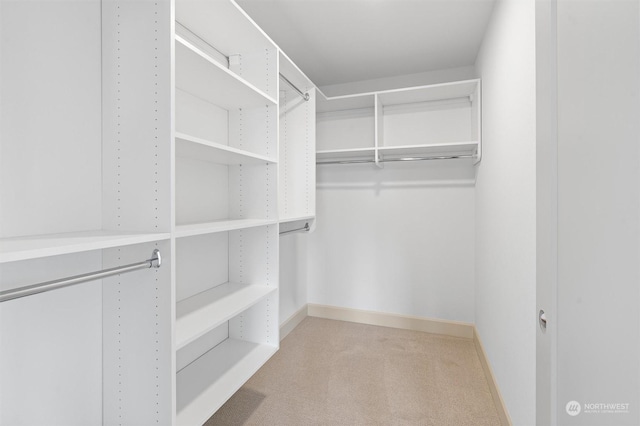 walk in closet with light colored carpet