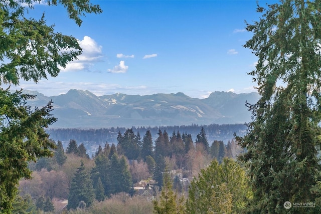 view of mountain feature featuring a wooded view