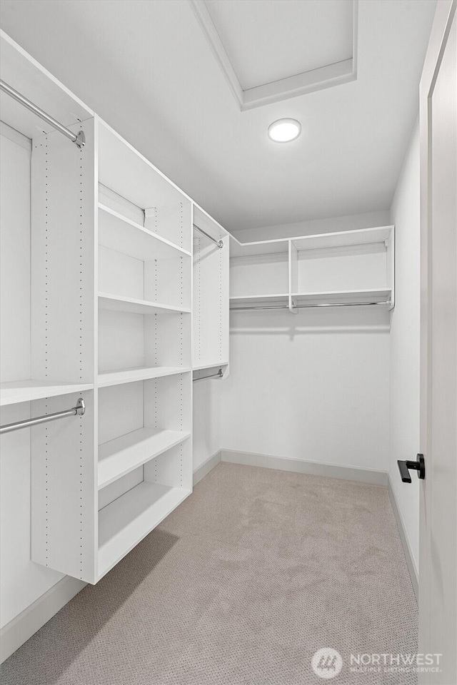 spacious closet featuring carpet