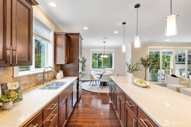 kitchen featuring ornamental molding, dark wood-style flooring, a sink, light countertops, and a wealth of natural light