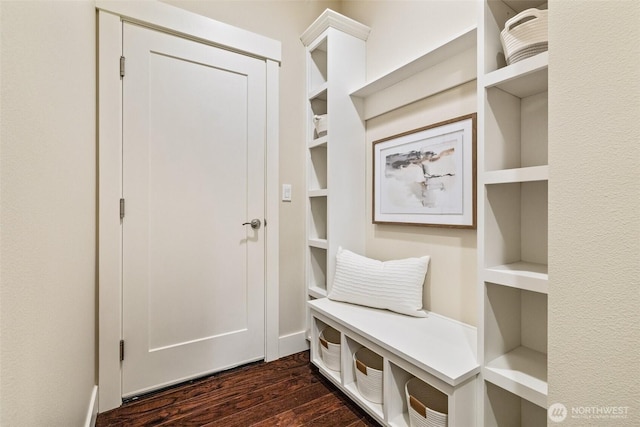 mudroom featuring dark wood finished floors