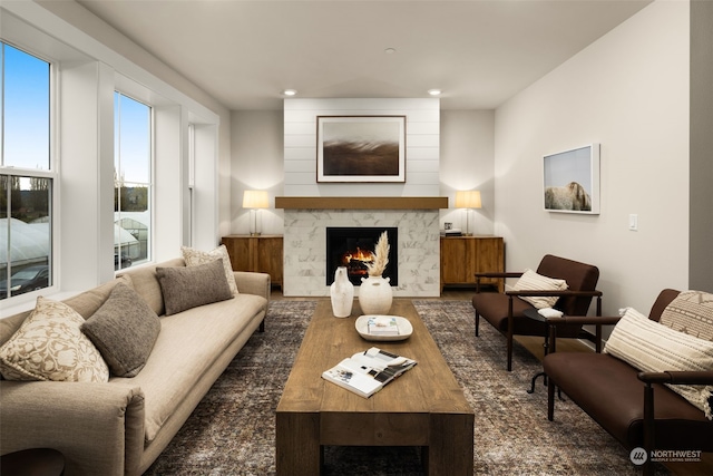 living room with dark wood-type flooring and a premium fireplace