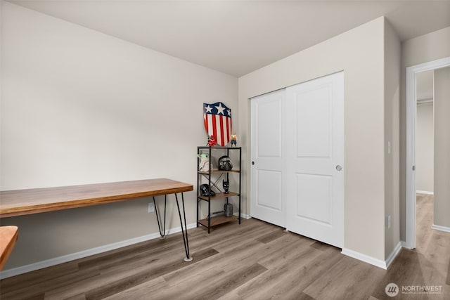 interior space featuring baseboards, wood finished floors, and a closet