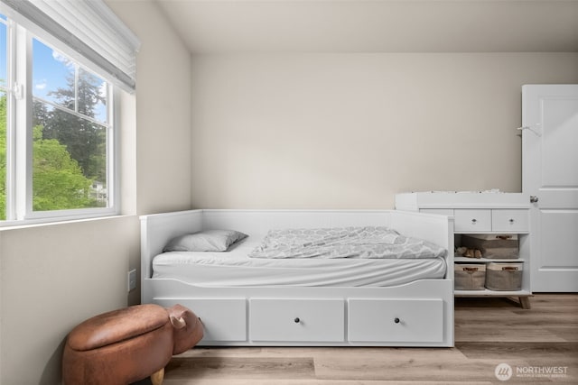 bedroom with multiple windows and wood finished floors