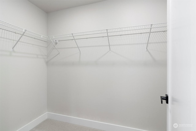 view of spacious closet