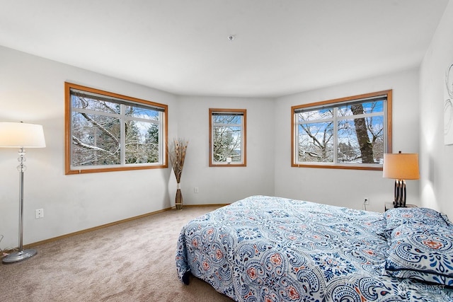 bedroom featuring carpet flooring