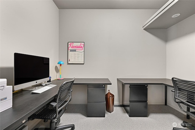 office area featuring light colored carpet