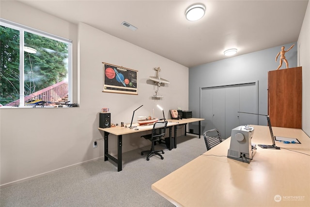 office area featuring carpet