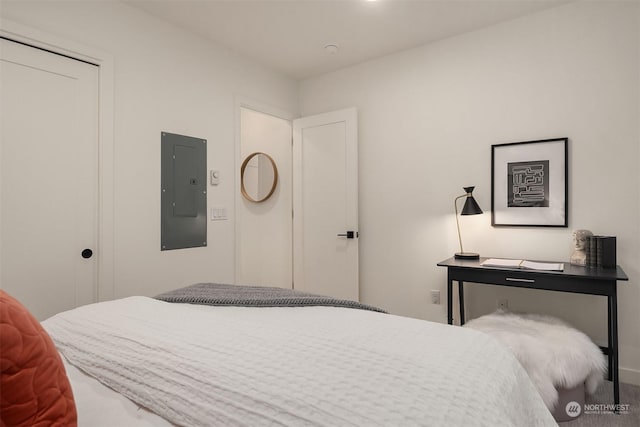 bedroom featuring electric panel and a closet