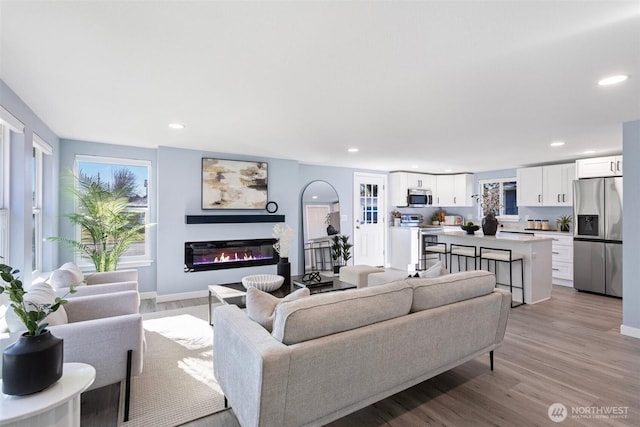 living room featuring light hardwood / wood-style flooring