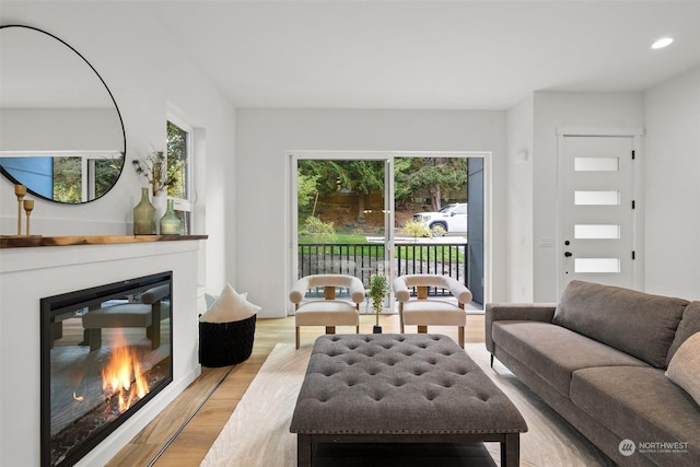 living room featuring a healthy amount of sunlight and light hardwood / wood-style flooring