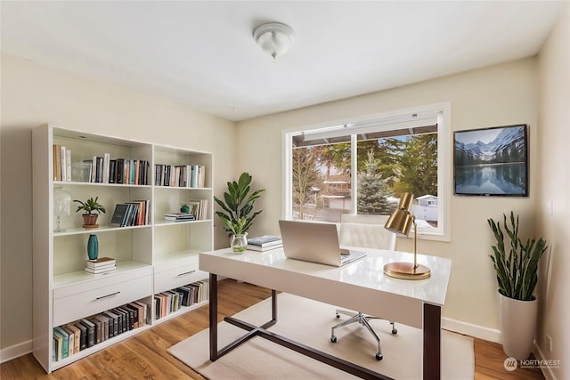 office space featuring light hardwood / wood-style flooring