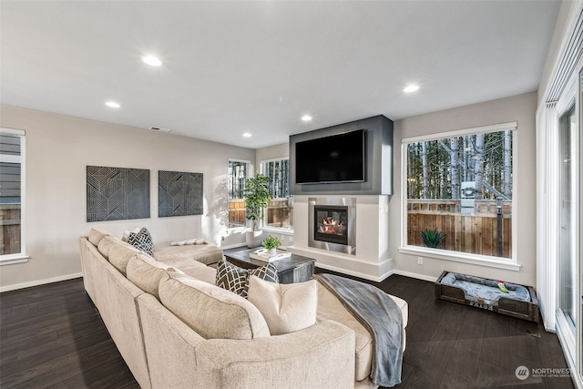 living room with dark wood-type flooring