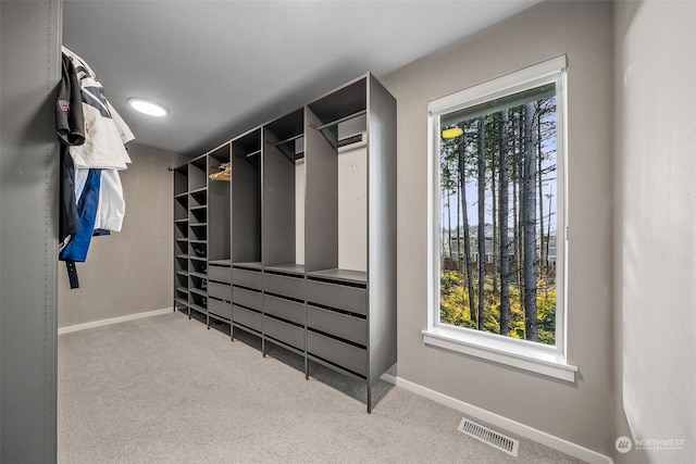 walk in closet featuring carpet