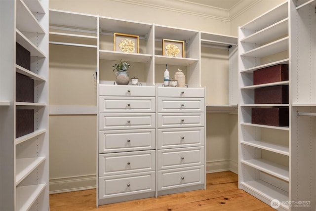 spacious closet with light hardwood / wood-style floors