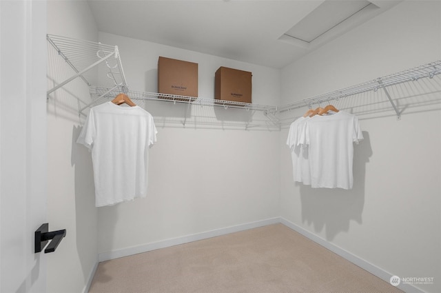 spacious closet featuring carpet floors