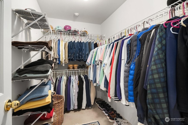 walk in closet featuring carpet floors