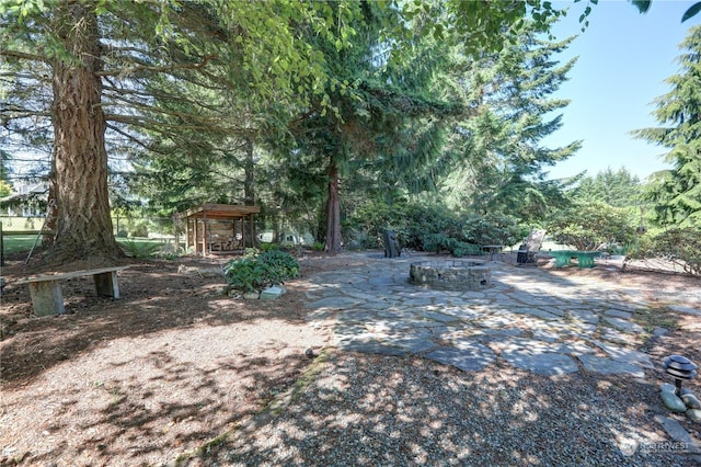 view of yard featuring a patio and an outdoor fire pit