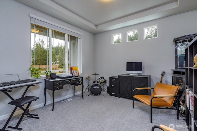 living area featuring a tray ceiling and light colored carpet