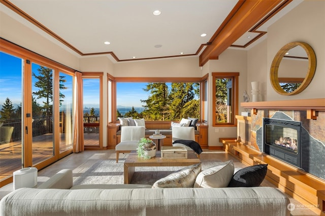 interior space with crown molding and a premium fireplace