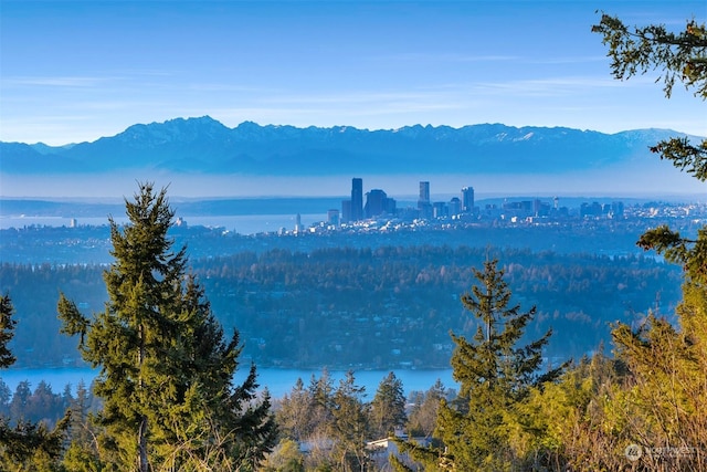 property view of water featuring a mountain view