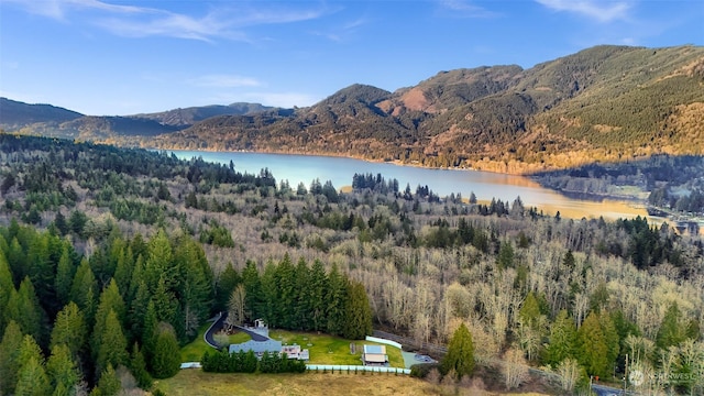 drone / aerial view featuring a water and mountain view