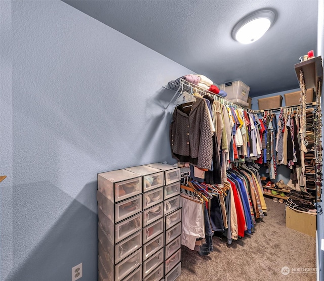 spacious closet with carpet