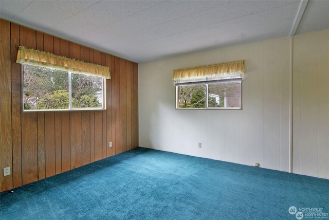 carpeted empty room with a healthy amount of sunlight and wood walls