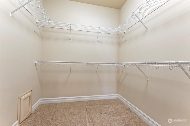 walk in closet with carpet