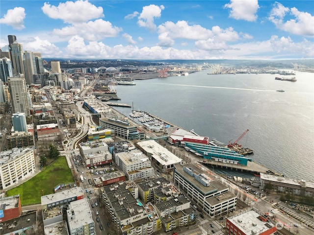 aerial view with a water view