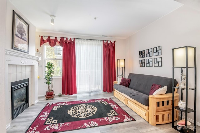 living room with a fireplace and light hardwood / wood-style floors