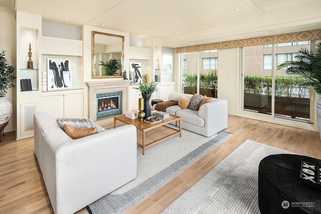 living room with light hardwood / wood-style flooring