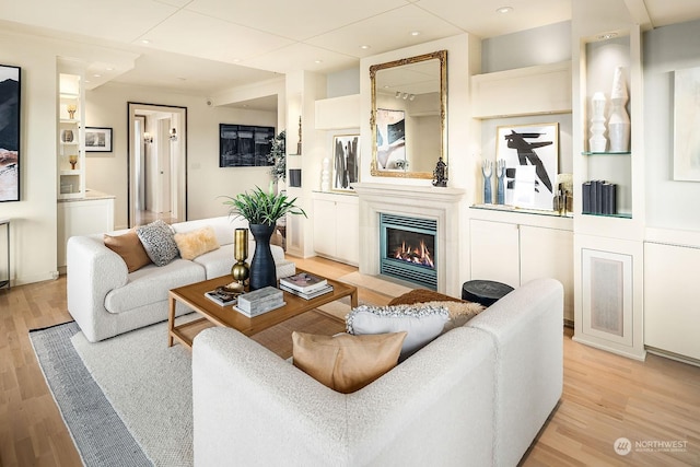 living room with light wood-type flooring