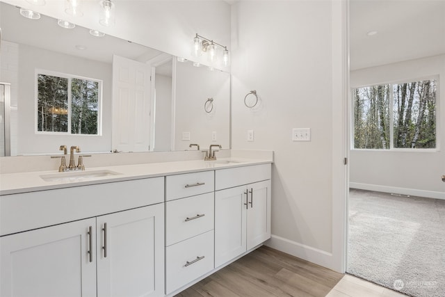 bathroom with hardwood / wood-style flooring, vanity, and a wealth of natural light