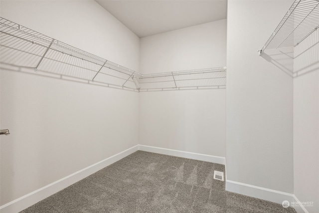 spacious closet with carpet