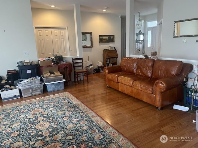 living room featuring wood-type flooring