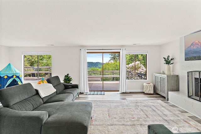 living room featuring wood finished floors, visible vents, and a premium fireplace