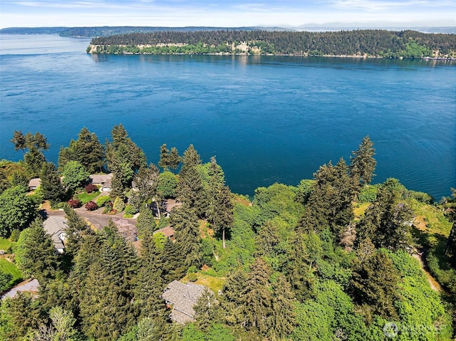 bird's eye view with a wooded view and a water view