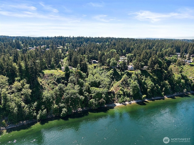 aerial view featuring a view of trees and a water view