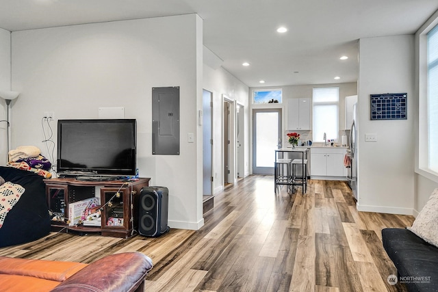 living room with sink, a wealth of natural light, electric panel, and light wood-type flooring