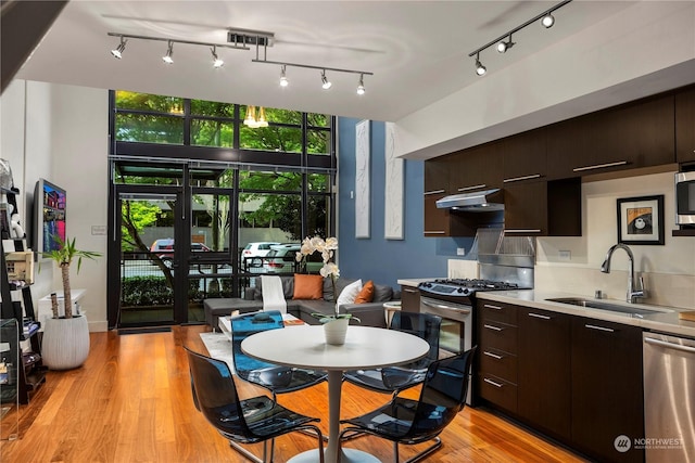 kitchen featuring appliances with stainless steel finishes, sink, dark brown cabinetry, and light hardwood / wood-style flooring