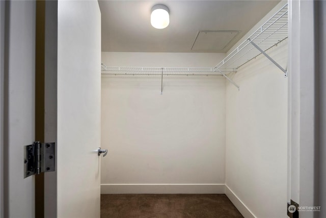 spacious closet with dark colored carpet