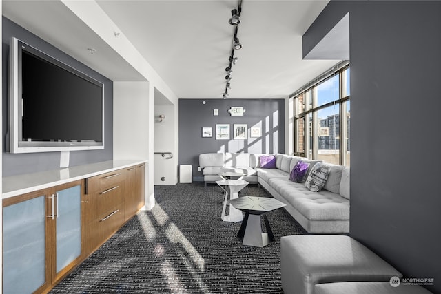 carpeted living room featuring floor to ceiling windows and rail lighting