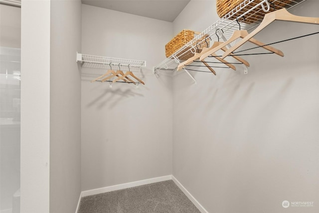 spacious closet featuring carpet floors