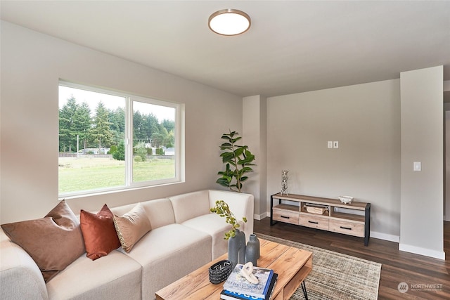 living room with dark hardwood / wood-style flooring